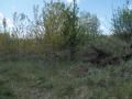 Wydzierzawie grunty  Hrodyszcze koło Chełma dla inestora z czasem do sprzedarzy